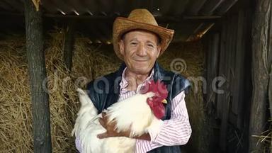 一个戴着草帽的<strong>老农</strong>夫正抱着一只活生生的白公鸡。 干草上一只白公鸡的画像